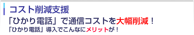 コスト削減支援「ひかり電話」で通信コストを大幅削減